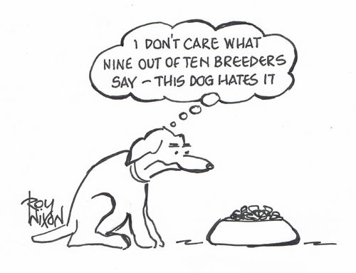 "I don't care what nine out of ten breeders say - this dog hates it."