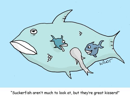 "Suckerfish aren't much to look at, but they're great kissers!"