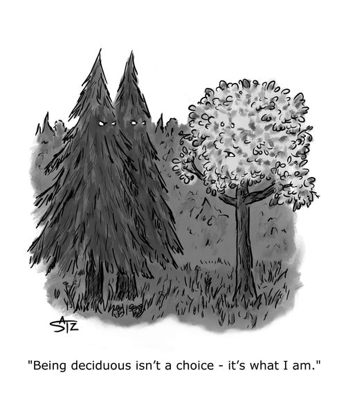 "Being deciduous isn't a choice - it's what I am."