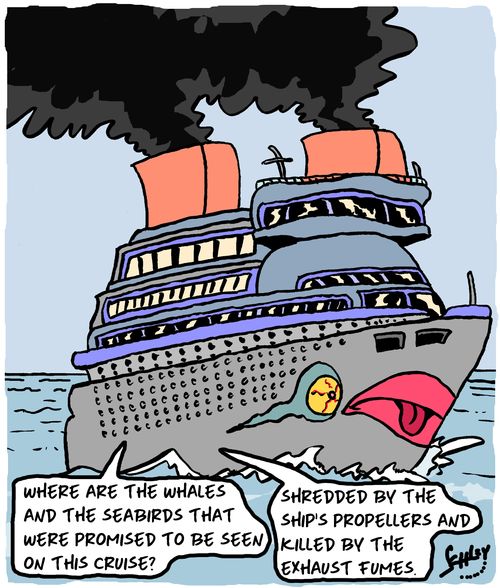 "Where are the whales and the seabirds that were promised to be seen on this cruise?"