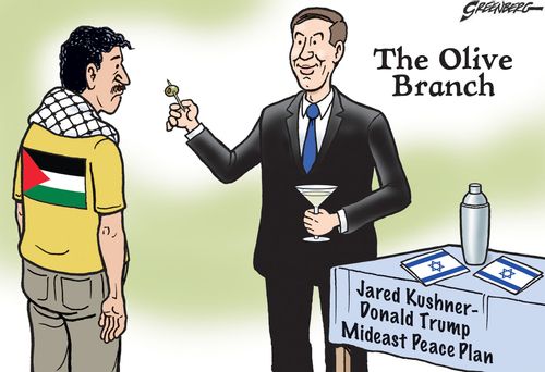 The Olive Branch