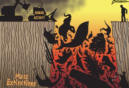 Mass Extinctions