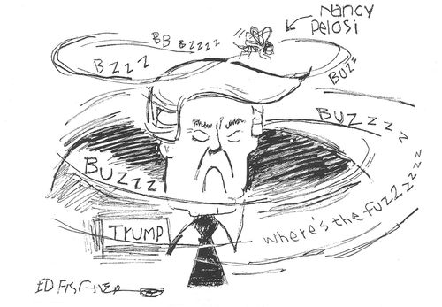 Trump and Pelosi