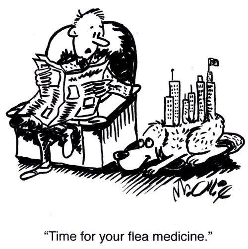"Time for your flea medicine."