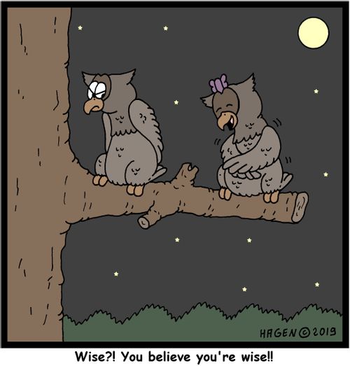 "Wise?! You believe you're wise!!"