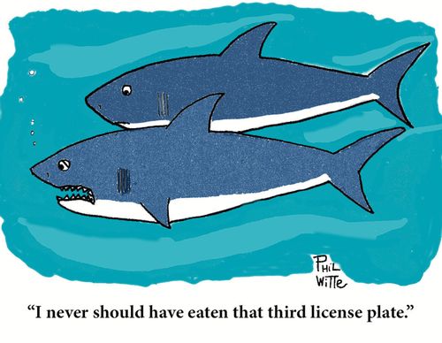 "I never should have eaten that third license plate."