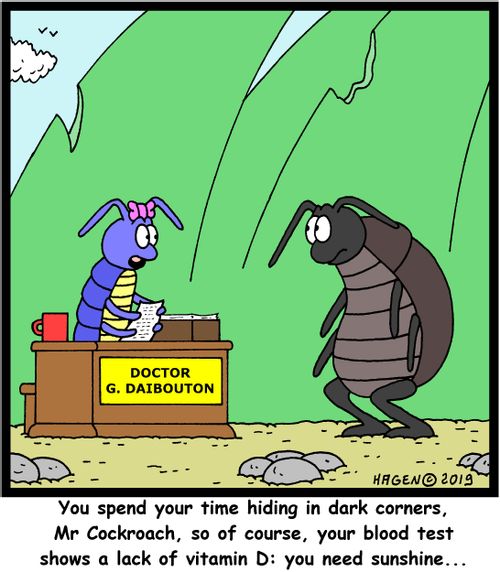 "You spend your time hiding in dark corners, Mr Cockroach, so of course, your blood test shows a lack of vitamin D: you need sunshine..."