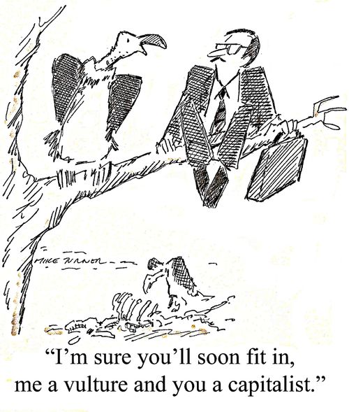 "I'm sure you'll soon fit in, me a vulture and you a capitalist."