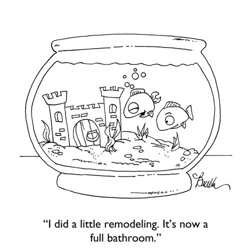 "I did a little remodeling. It's now a full bathroom."