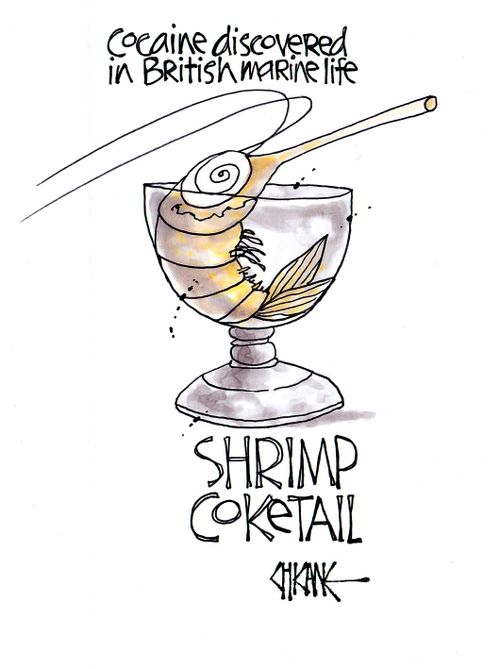Cocaine discovered in British marine life. . . Shrimp Coketail