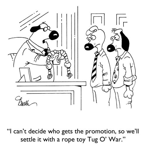 "I can't decide who gets the promotion, so we'll settle it with a rope toy Tug O' War."