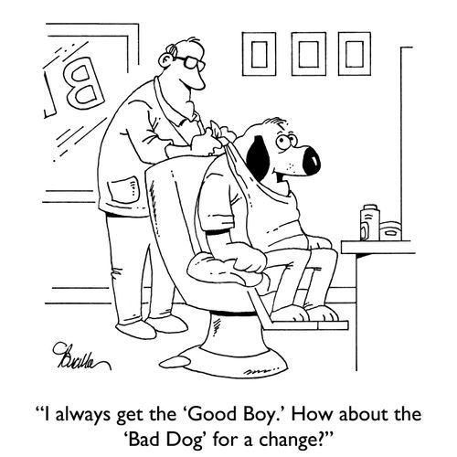 "I always get the 'Good Boy.' How about the 'Bad Dog' for a change?"