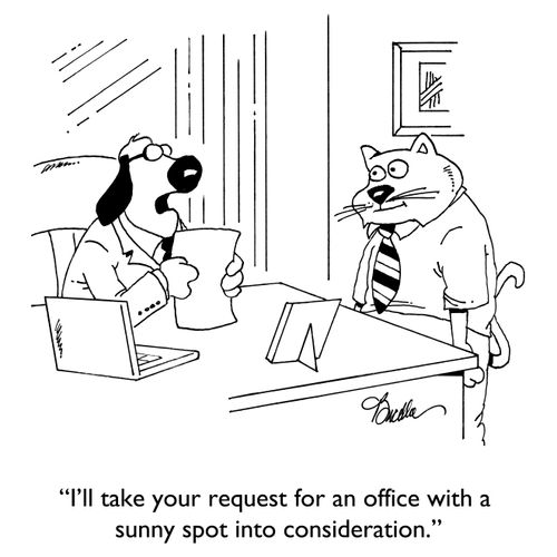 "I'll take your request for an office with a sunny spot into consideration."