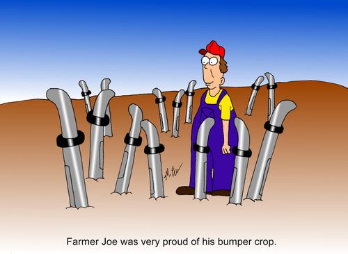 Farmer Joe was very proud of his bumper crop.
