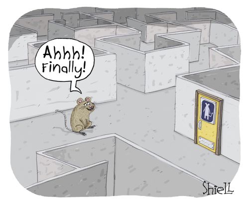 Rat Maze Washrooms. A lab rat in a maze is relieved to have finally found the washrooms. 