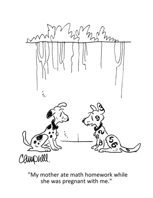 "My mother ate math homework while she was pregnant with me."
