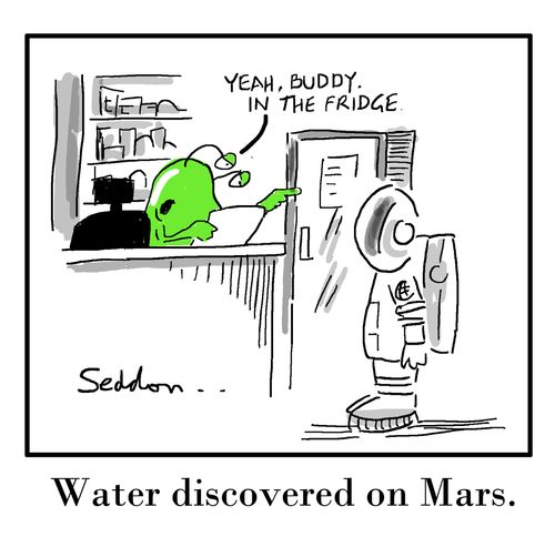 Water discovered on Mars.