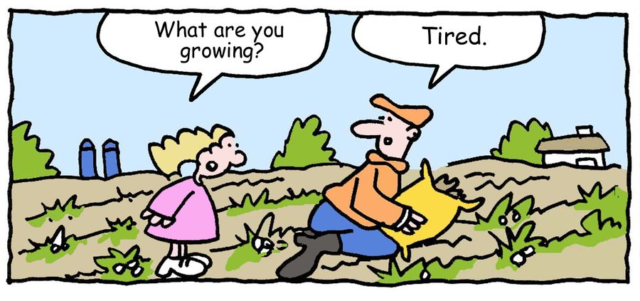 "What are you growing?"