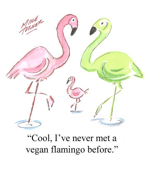 "Cool, I've never met a vegan flamingo before."