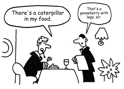 "There's a caterpillar in my food." 