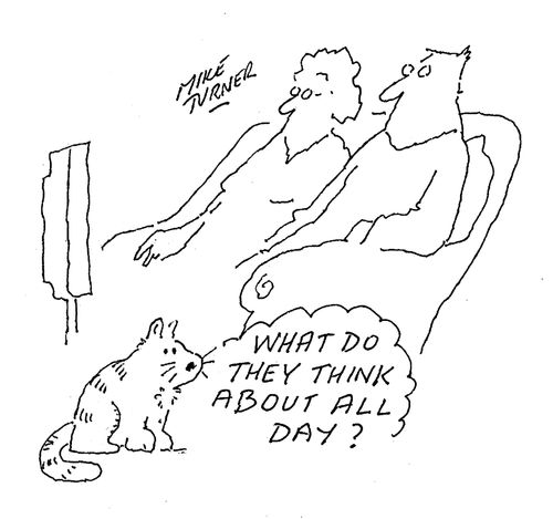 "Whay do they think about all day?"