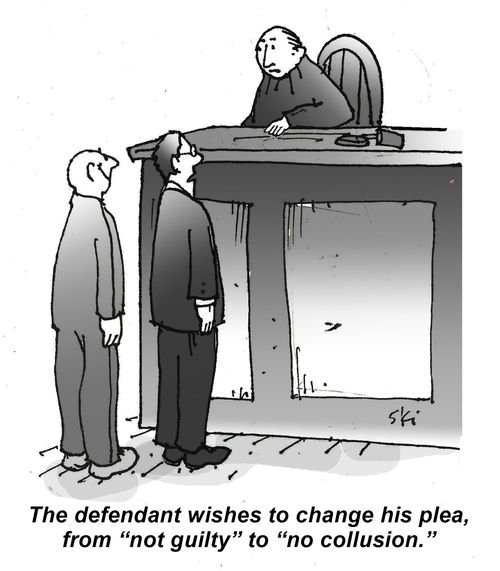 "The defendant wishes to change his plea, from 'not guilty' to 'no collusion'."