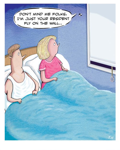 "Don't mind me folks, I'm just your resident fly on the wall. . ."