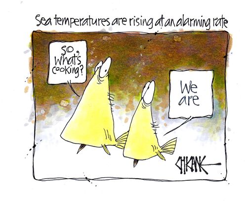 Sea temperatures rising at alarming rate