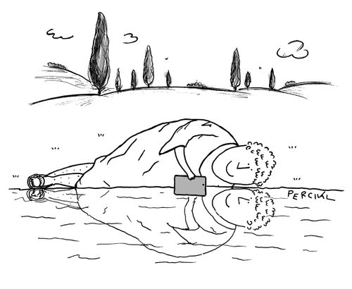Narcissus taking a selfie.
