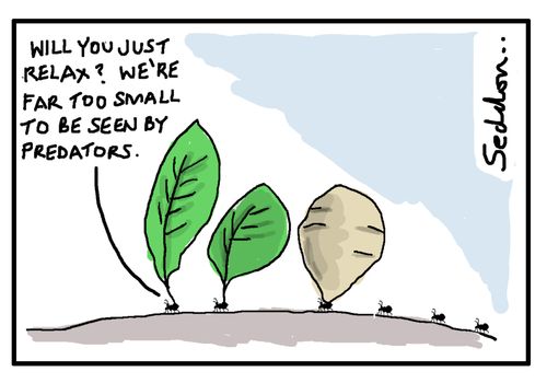 "Will you just relax? We're far too small to be seen by predators."