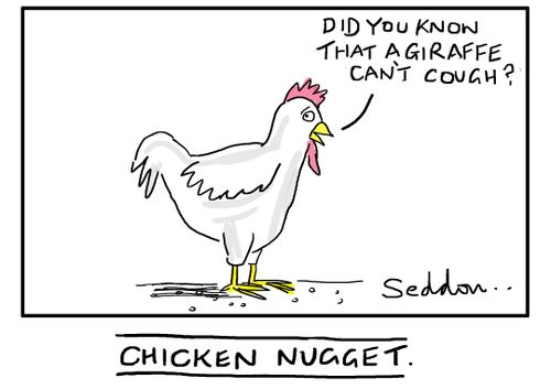 Chicken Nugget