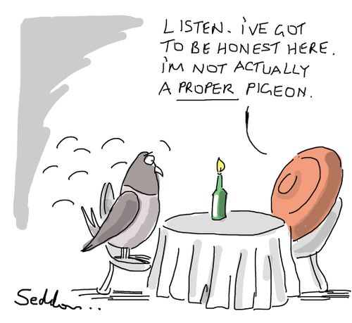 "Listen. I've got to be honest here. I'm not actually a proper pigeon."