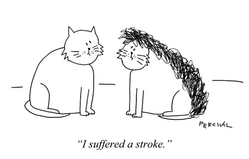 "I suffered a stroke."