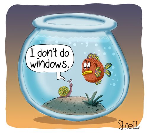 "I don't do windows."