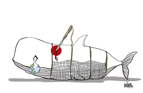 Authorize whaling in Japan