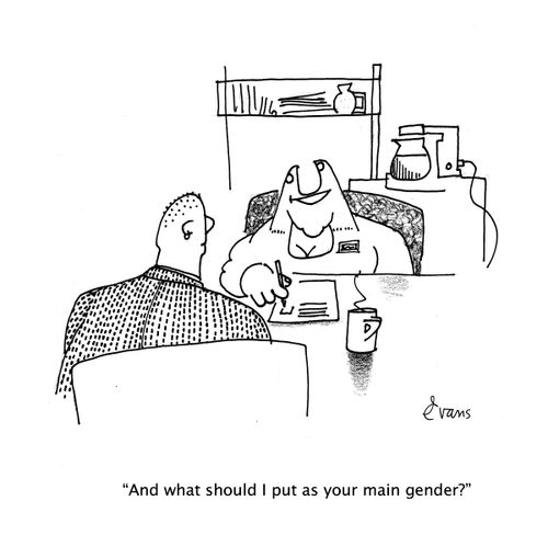 "And what should I put as your main gender?"