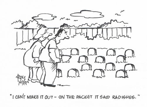 "I can't make it out - on the packet it said radishes."