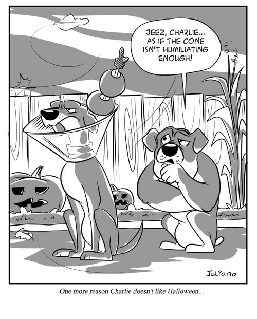 "Jeez, Charlie. . . as if the cone isn't humiliating enough!"