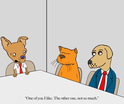 "One of you I like. The other one, not so much."