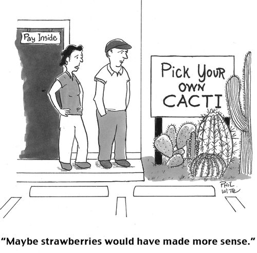 "Maybe strawberries would have made more sense."