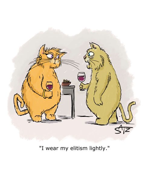 "I wear my elitism lightly."