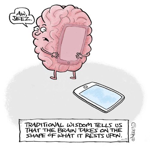 Traditional wisdom tells us that the brain takes on the shape of what it rests upon.