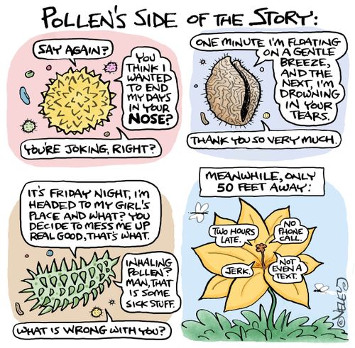 Pollen's Side of the Story