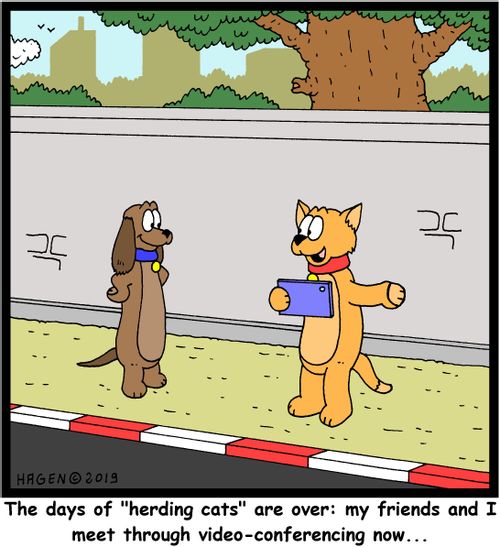 "The days of 'herding cats' are over: my friends and I meet through video-conferencing now..."