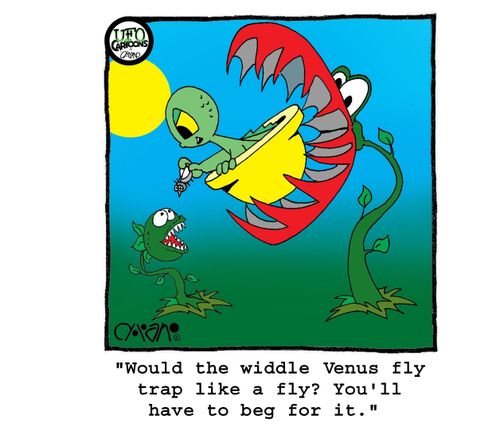 "Would the widdle Venus fly trap like a fly? You'll have to beg for it."