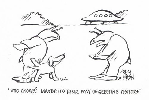 "Who knows? Maybe it's their way of greeting visitors."