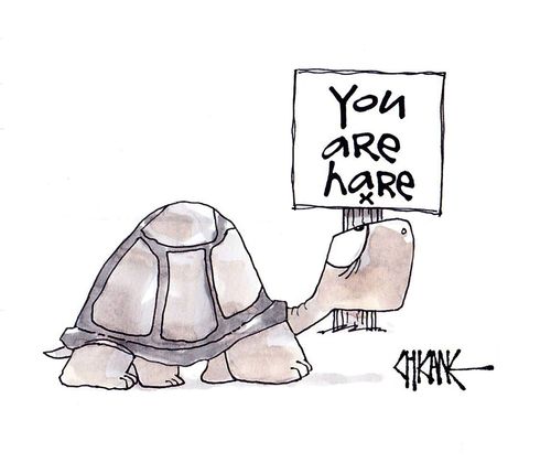 You Are Hare x