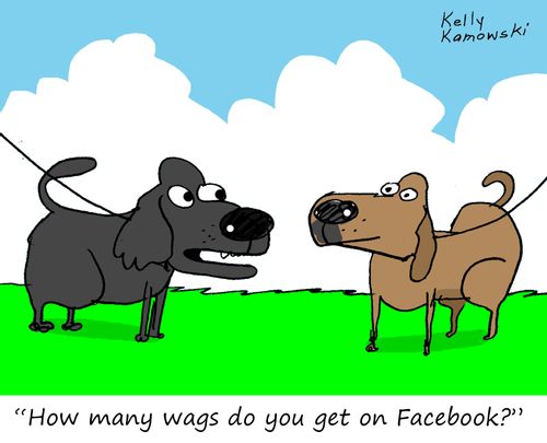 "How many wags do you get on Facebook?"