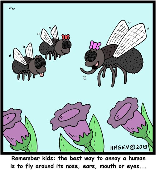 "Remember kids: the best way to annoy a human is to fly around its nose, ears, mouth or eyes..."