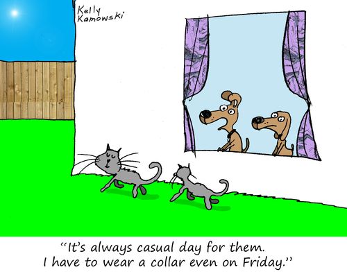 "It's always casual day for them. I have to wear a collar even on Friday."